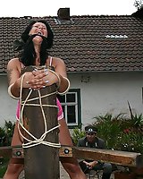 Whipped and cropped on pillory